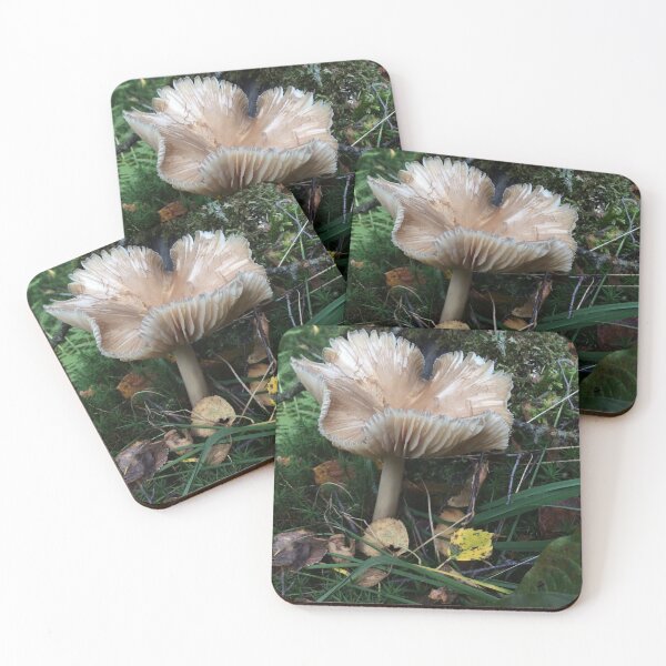 Item preview, Frilled Mushroom designed and sold by Susan Ward.