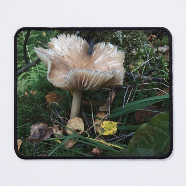 Item preview, Frilled Mushroom designed and sold by Susan Ward.