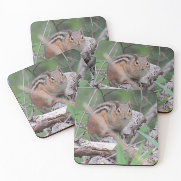 Item preview, Chipmunk Stare designed and sold by BerkshireWild.