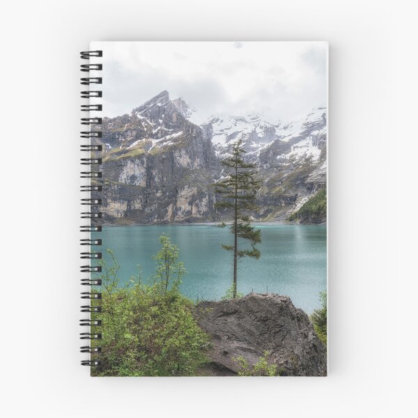 Item preview, Tree in Oeschinensee Lake designed and sold by aaronchoi.