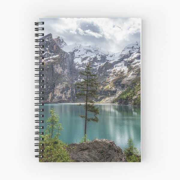 Item preview, A Lone Tree in Oeschinensee Lake designed and sold by aaronchoi.