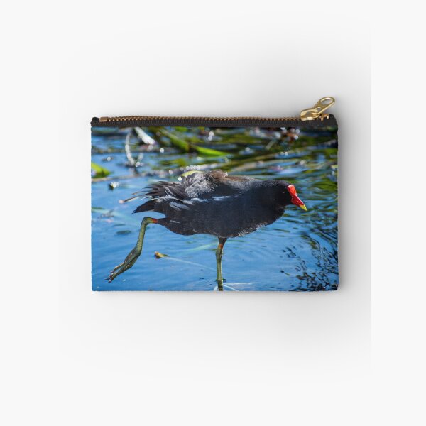 Item preview, Common Gallinule aka swamp chicken designed and sold by Paige Isovitsch.