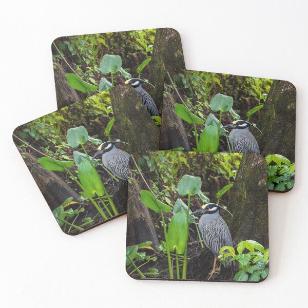 Item preview, Yellow-Crowned Night Heron designed and sold by Paige Isovitsch.