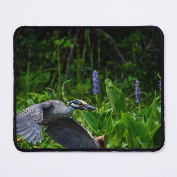 Item preview, Flying Yellow-Crown Night Heron designed and sold by Paige Isovitsch.