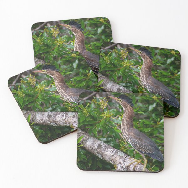 Item preview, Little Green Heron designed and sold by Paige Isovitsch.