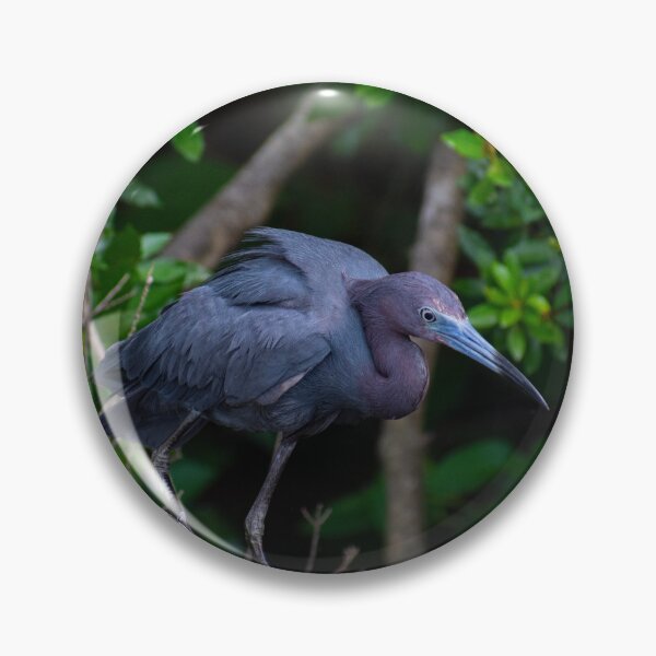 Item preview, Little Blue Heron designed and sold by Paige Isovitsch.