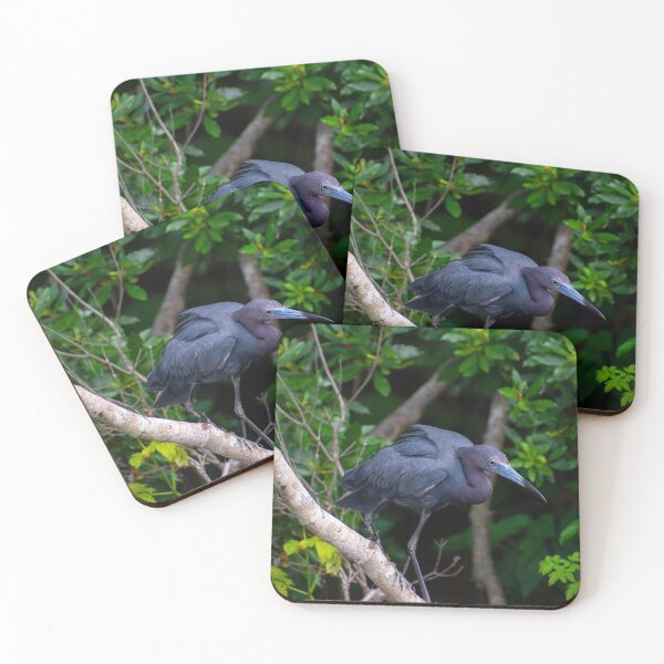 Item preview, Little Blue Heron designed and sold by Paige Isovitsch.