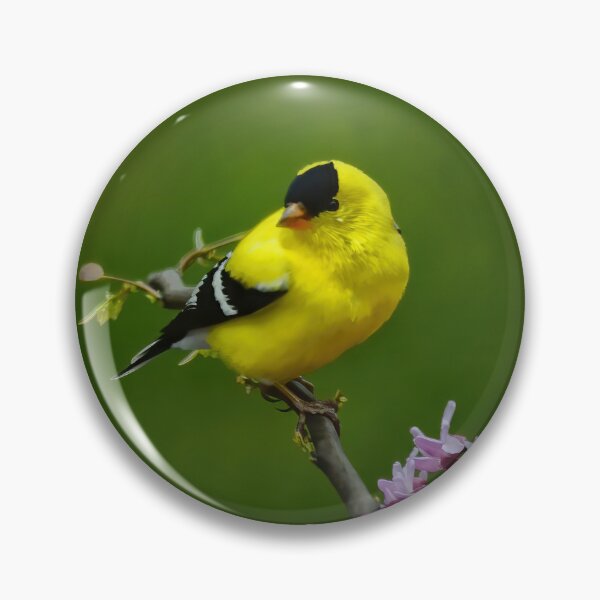 Item preview, Goldie designed and sold by Lois  Bryan.