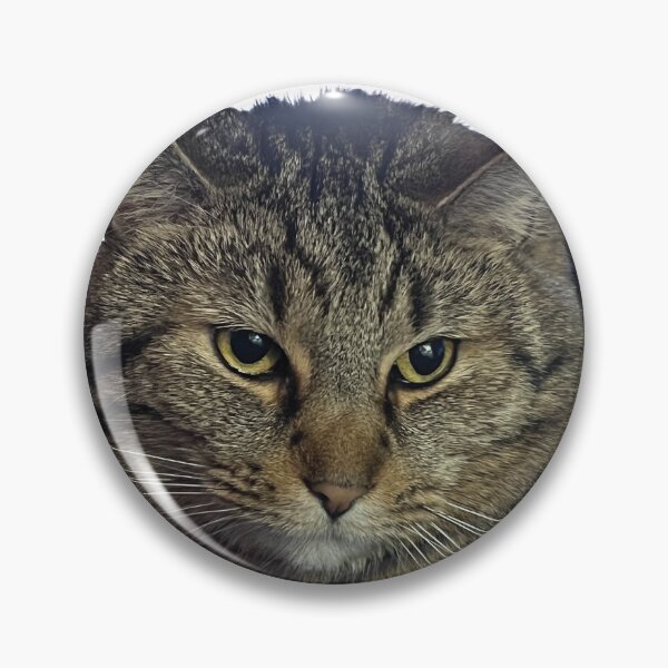 Item preview, Funny Cat Expression designed and sold by LoScho.