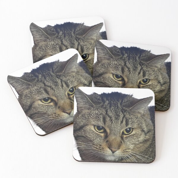 Item preview, Funny Cat Expression designed and sold by LoScho.