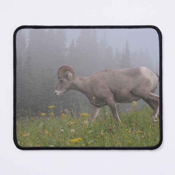 Item preview, Bighorn In The Mist designed and sold by Whisperingpeaks.