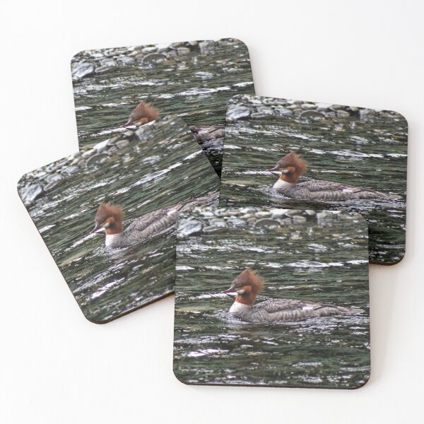 Item preview, Common Merganser in Russian River, Alaska designed and sold by PhrozenPhotos.