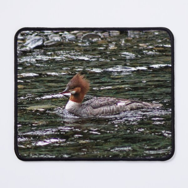 Item preview, Common Merganser in Russian River, Alaska designed and sold by PhrozenPhotos.