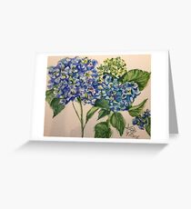 blue hydrangea blooms Greeting Card