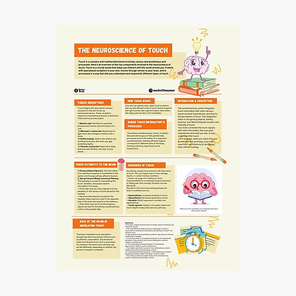 Item preview, The Neuroscience Of Touch designed and sold by muneerbanori15.
