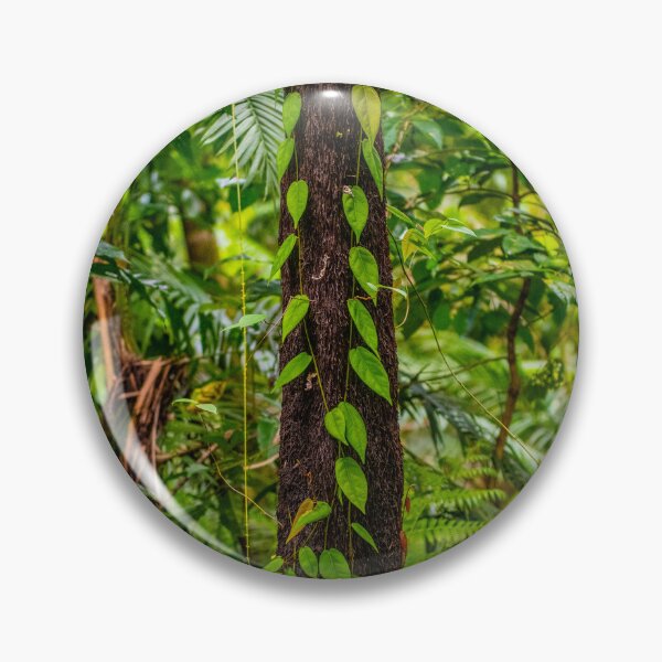 Item preview, Rainforest climber designed and sold by PeterOliver787.