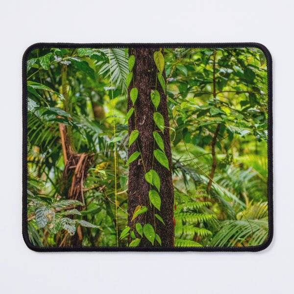 Item preview, Rainforest climber designed and sold by PeterOliver787.
