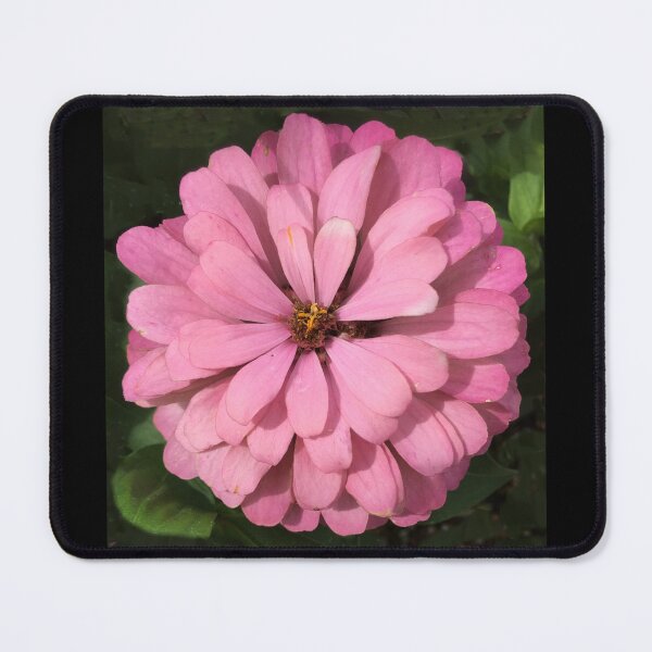 Item preview, Pink Flower designed and sold by Julien Hebbrecht.
