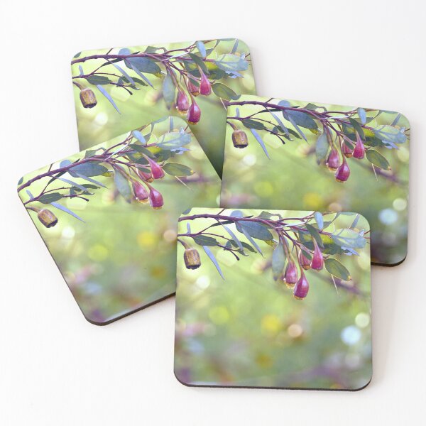 Item preview, Gumnuts in Dappled Sunlight designed and sold by imaginethis.