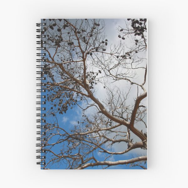 Item preview, The Skeleton of A Pine Tree Against Sky and Clouds designed and sold by taiche.