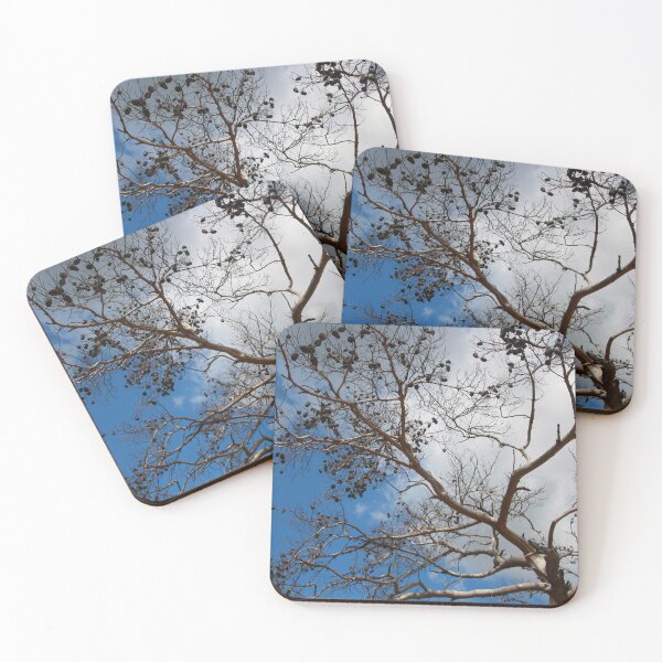 Item preview, The Skeleton of A Pine Tree Against Sky and Clouds designed and sold by taiche.