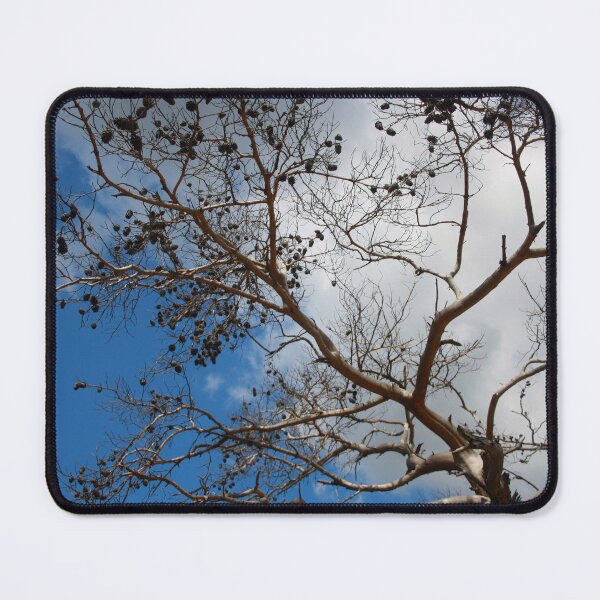 Item preview, The Skeleton of A Pine Tree Against Sky and Clouds designed and sold by taiche.