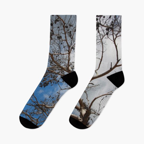 Item preview, The Skeleton of A Pine Tree Against Sky and Clouds designed and sold by taiche.