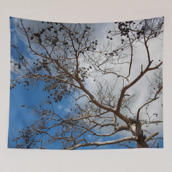 Item preview, The Skeleton of A Pine Tree Against Sky and Clouds designed and sold by taiche.