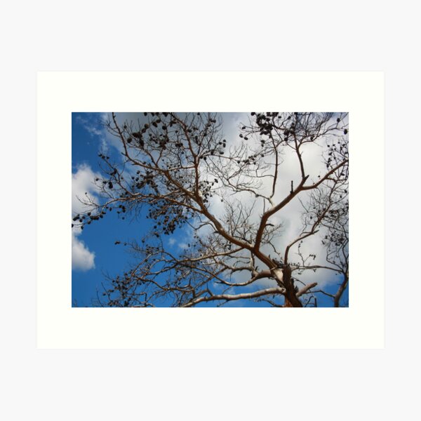 Item preview, The Skeleton of A Pine Tree Against Sky and Clouds designed and sold by taiche.
