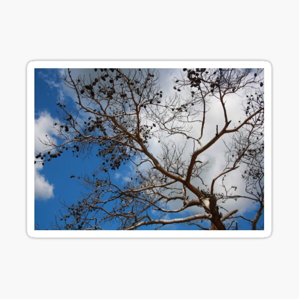 Item preview, The Skeleton of A Pine Tree Against Sky and Clouds designed and sold by taiche.