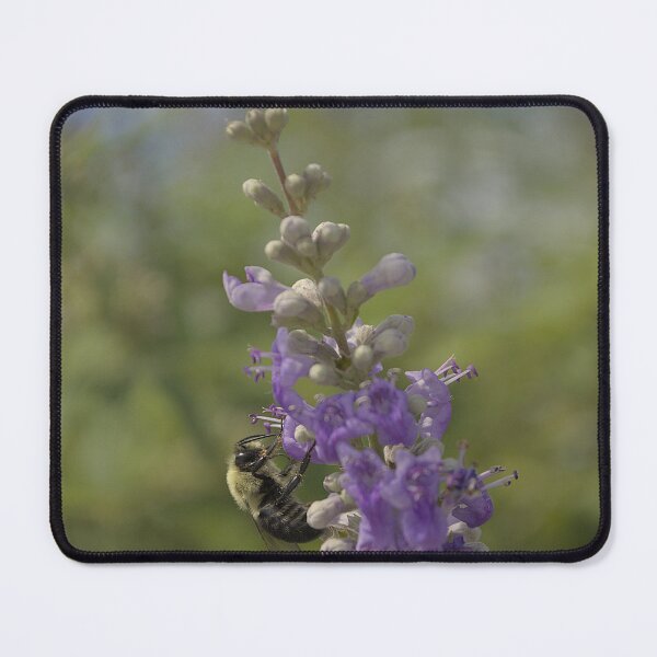 Item preview, Bumblebee and Chaste Flower designed and sold by MercerImages.