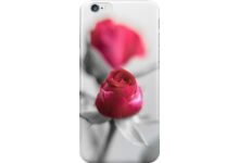 A Red Rose for your Sweetheart... auf Redbubble von pASob-dESIGN