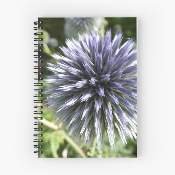 Item preview, Allium flower designed and sold by Chris Ayre.