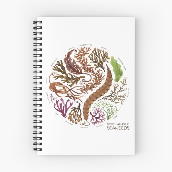 Item preview, North Atlantic Seaweeds designed and sold by JadaFitch.