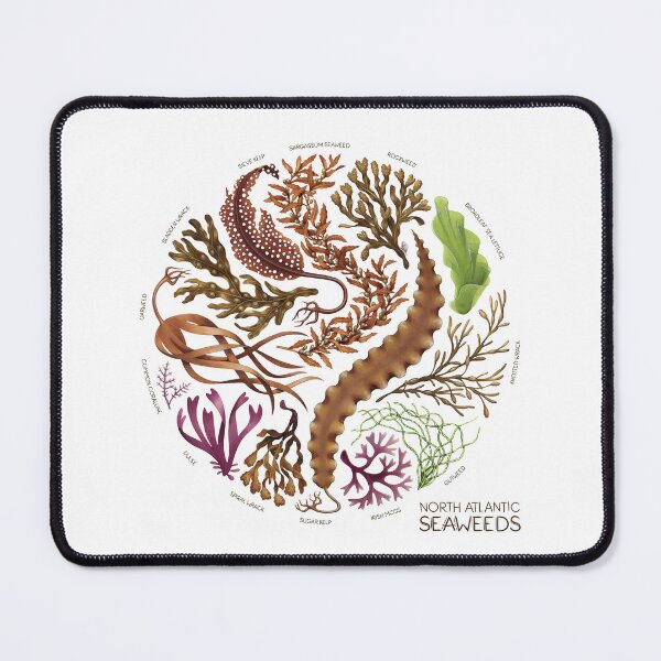 Item preview, North Atlantic Seaweeds designed and sold by JadaFitch.