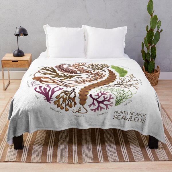 Item preview, North Atlantic Seaweeds designed and sold by JadaFitch.