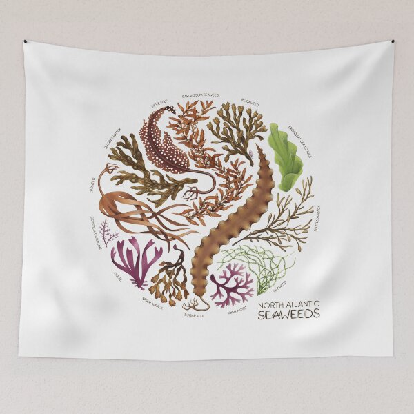 Item preview, North Atlantic Seaweeds designed and sold by JadaFitch.