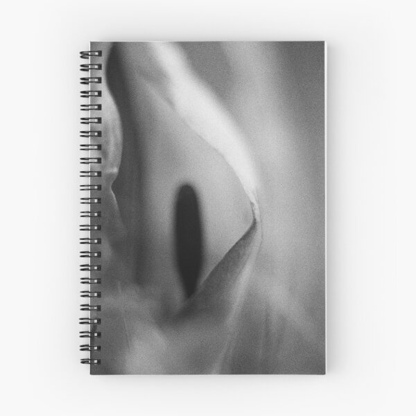 Item preview, Fantasma de las estaciones designed and sold by Phil Bothwell Photography.