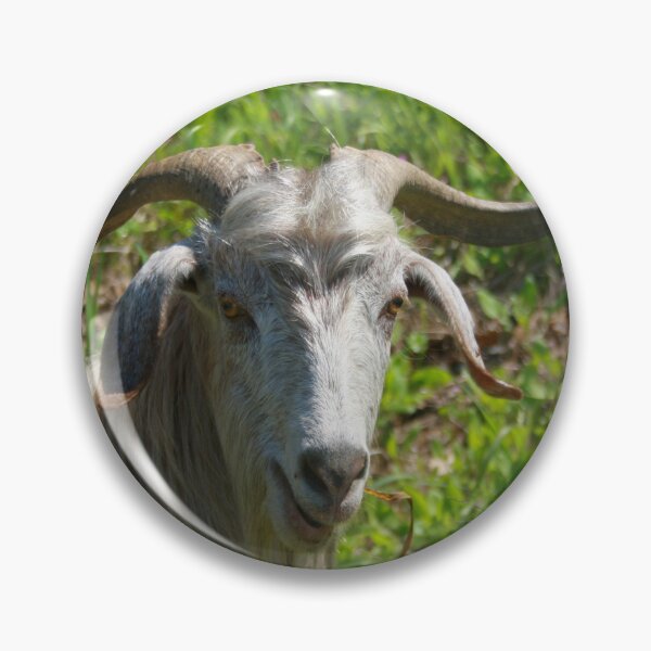 Item preview, Photographic Portrait of A Whimsical Goat designed and sold by taiche.
