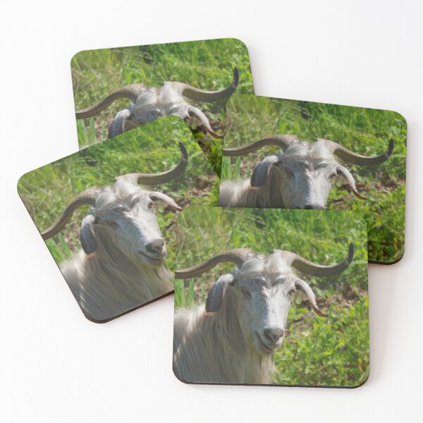 Item preview, Photographic Portrait of A Whimsical Goat designed and sold by taiche.