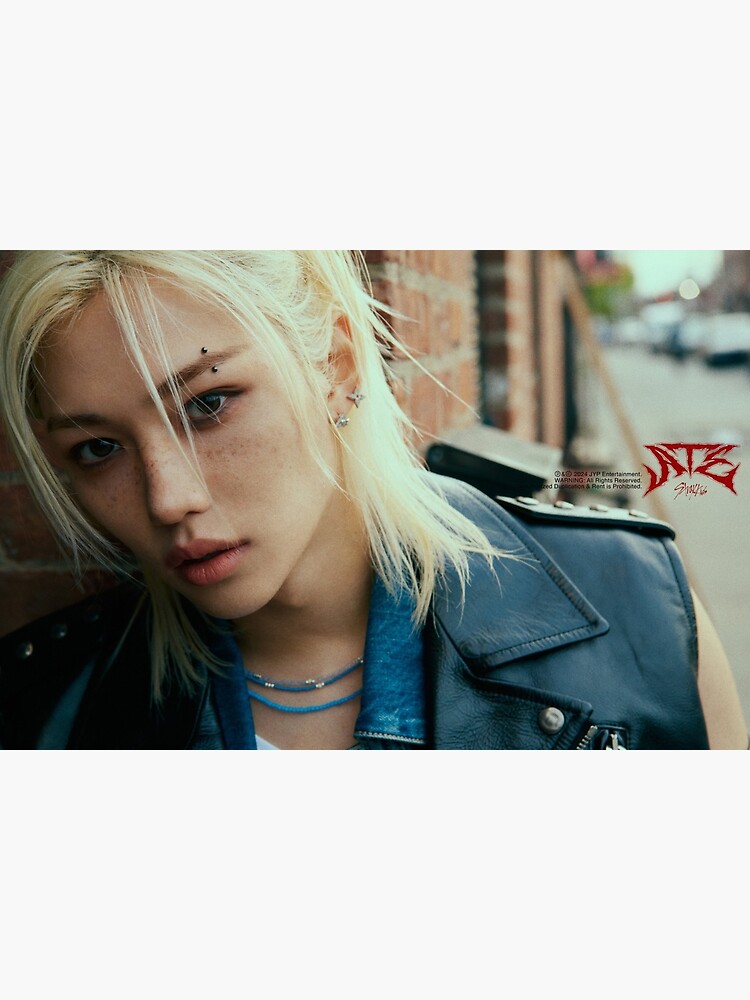 StrayKids Felix 紙類セット StrayKids Felix 紙類セット Amazon.co.jp: straykids Felix