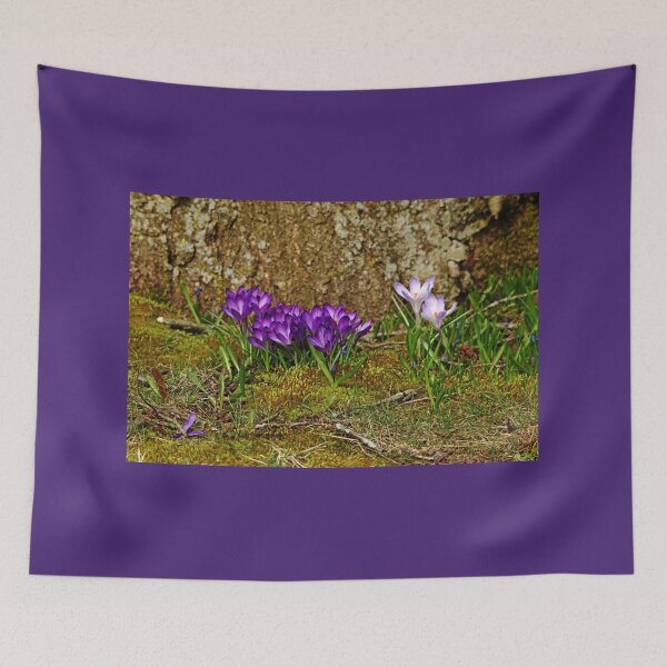 Item preview, Purple Crocus In The Moss designed and sold by Debbie Oppermann.
