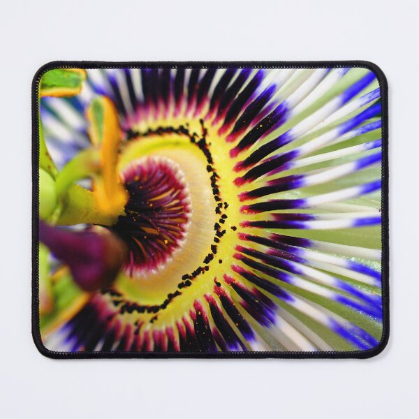 Item preview, Passion Flower Summer Flowering Plant designed and sold by AndyEvansPhotos.