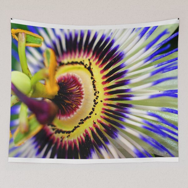 Item preview, Passion Flower Summer Flowering Plant designed and sold by AndyEvansPhotos.