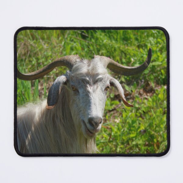Item preview, Photographic Portrait of A Whimsical Goat designed and sold by taiche.