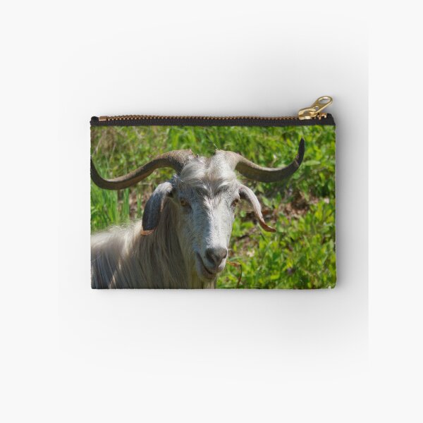 Item preview, Photographic Portrait of A Whimsical Goat designed and sold by taiche.