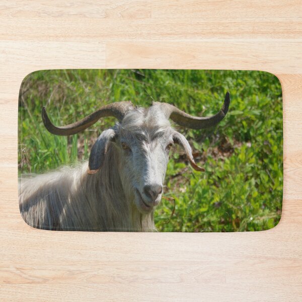 Item preview, Photographic Portrait of A Whimsical Goat designed and sold by taiche.