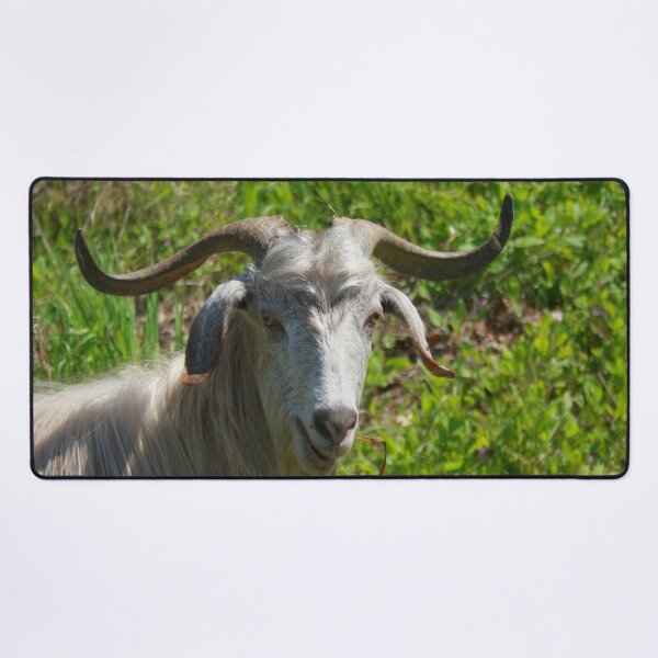 Item preview, Photographic Portrait of A Whimsical Goat designed and sold by taiche.