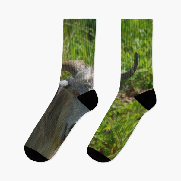 Item preview, Photographic Portrait of A Whimsical Goat designed and sold by taiche.