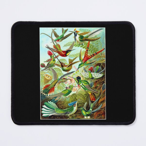 Item preview, Colorful Gathering of Hummingbirds 1904 designed and sold by RocketshipRetro.